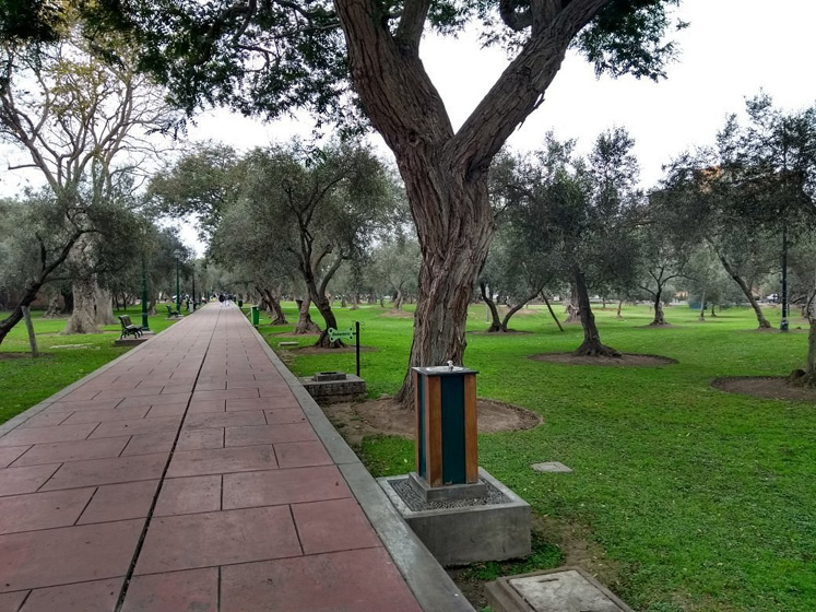 Park el Olivar