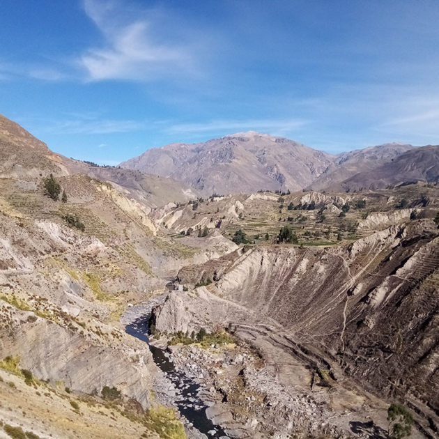 Canyon Colca Tour